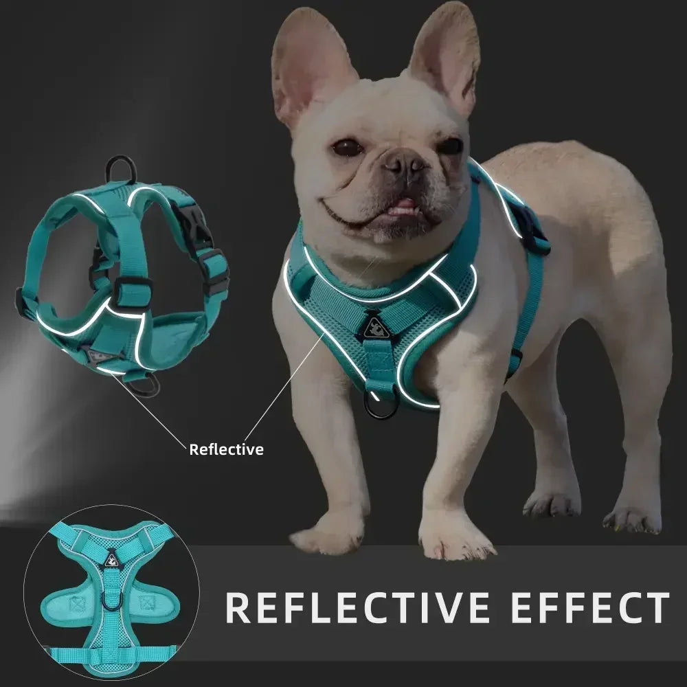 No Pull Dog Harness & Leash Set