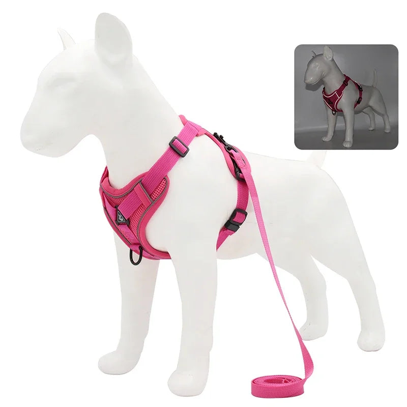 No Pull Dog Harness & Leash Set