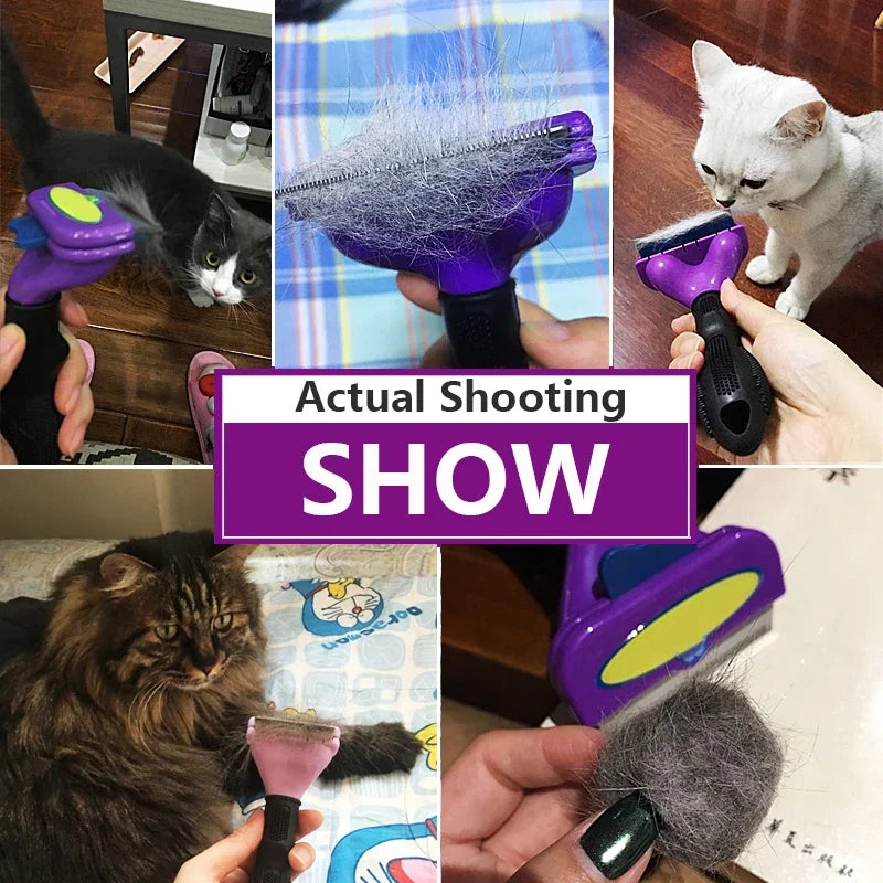 Pet Grooming Brush