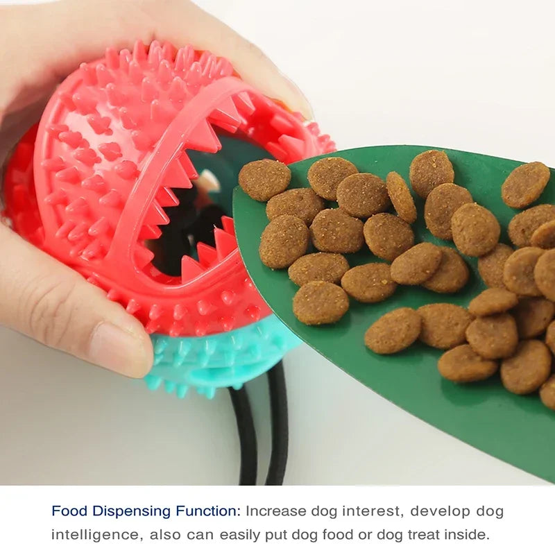 Large Dog Suction Cup Ball Toy