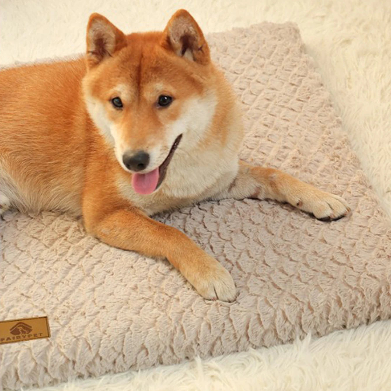 Detachable Neck Guard Dog Bed