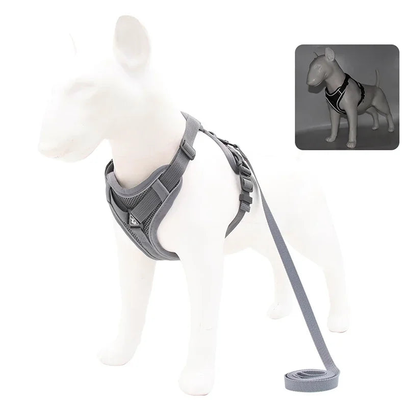 No Pull Dog Harness & Leash Set