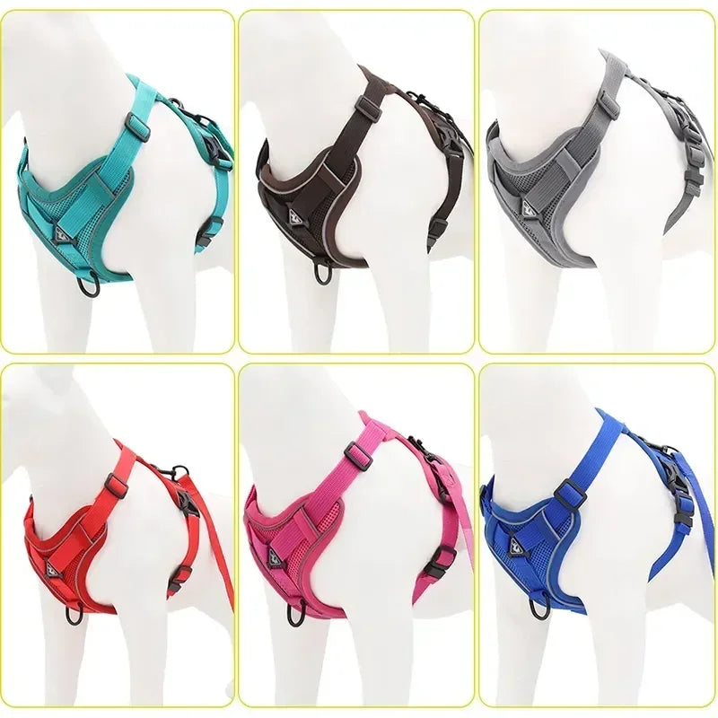 No Pull Dog Harness & Leash Set