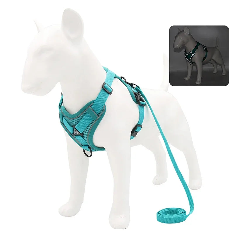 No Pull Dog Harness & Leash Set