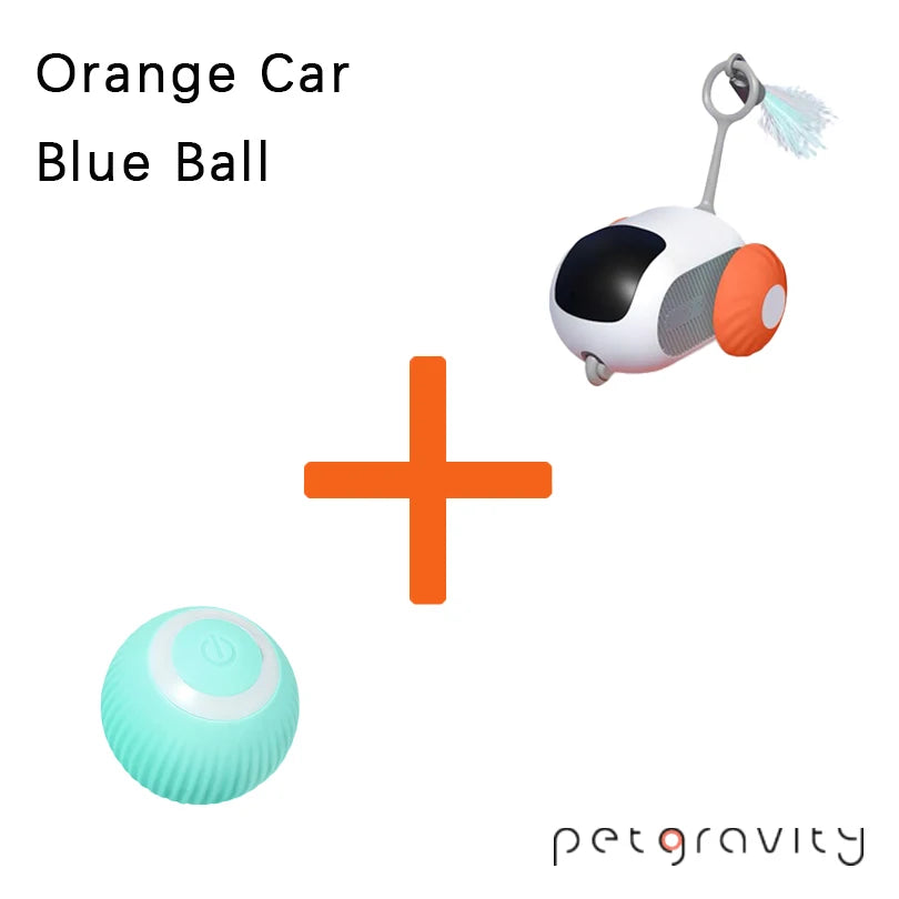 Interactive Pet Car Toy