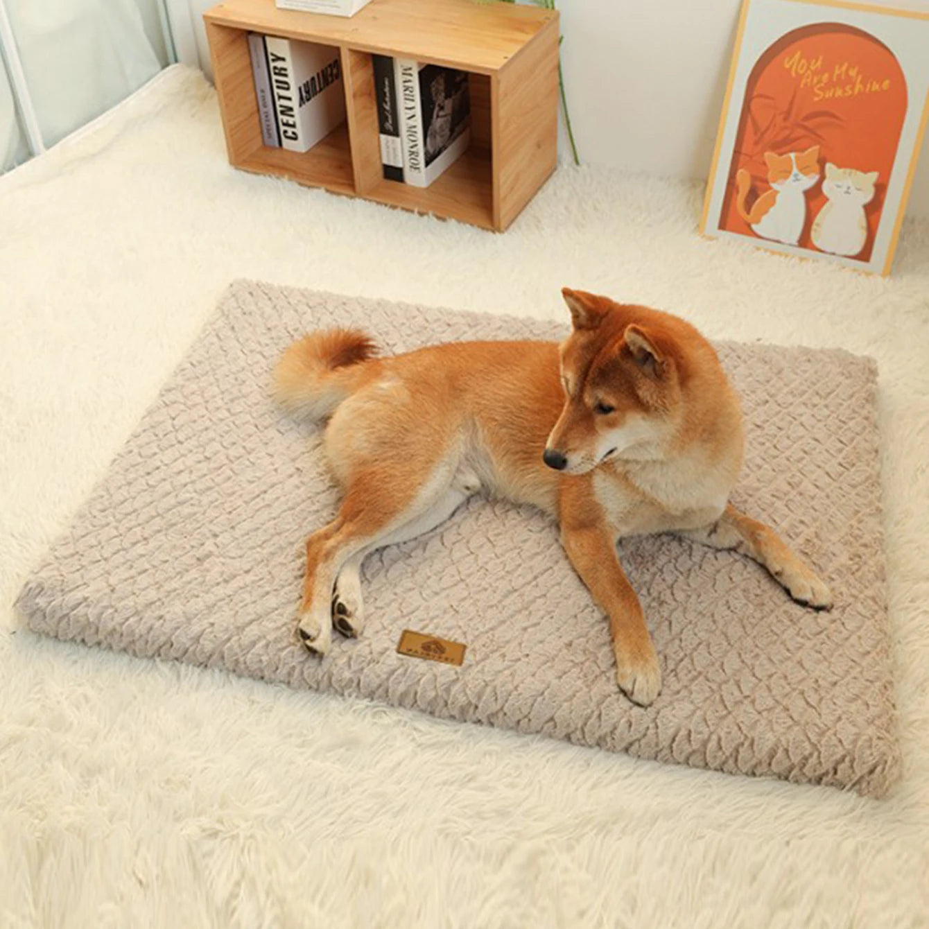 Detachable Neck Guard Dog Bed