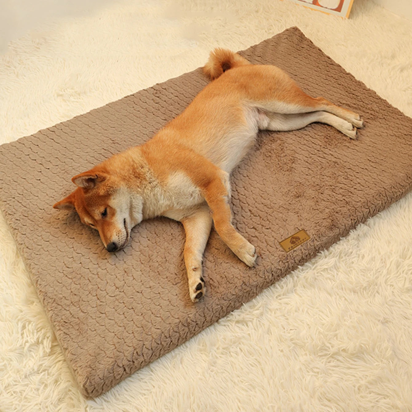Detachable Neck Guard Dog Bed