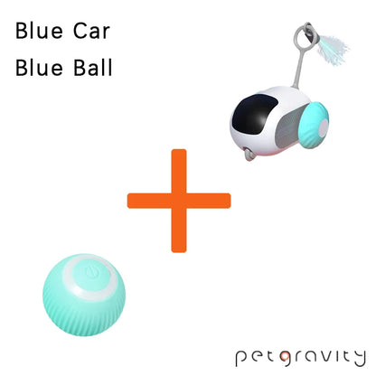 Interactive Pet Car Toy