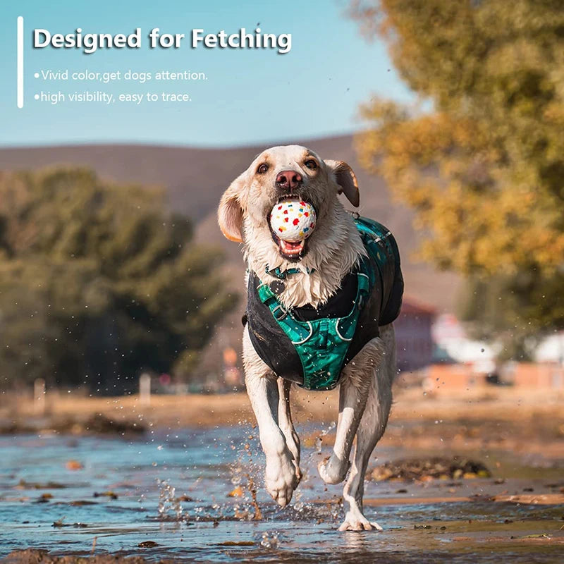 Bite-Resistant Dog Chew Ball Toy