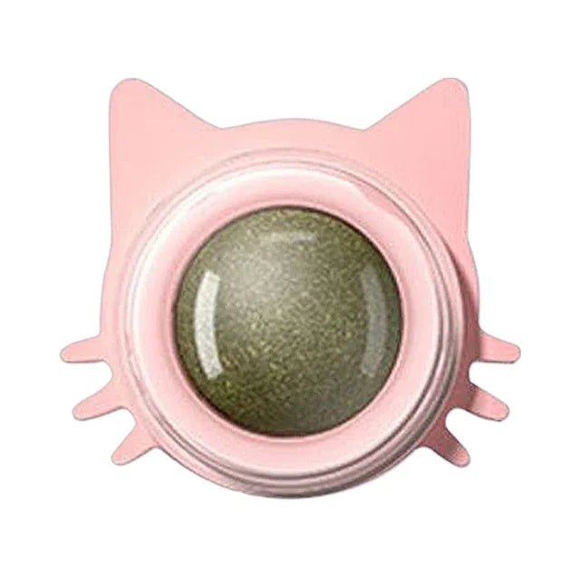Rotatable Catnip Ball Toy