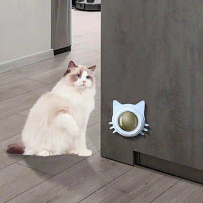 Rotatable Catnip Ball Toy