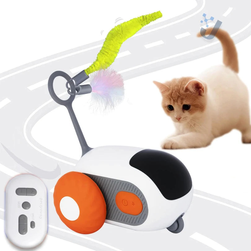 Interactive Pet Car Toy