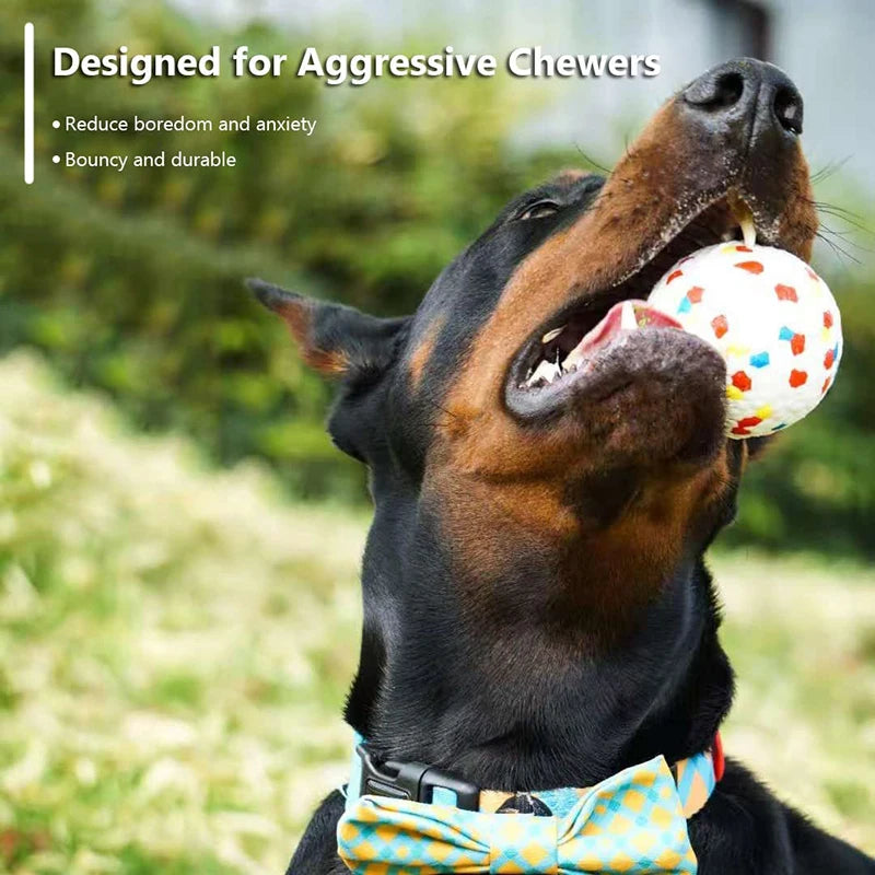 Bite-Resistant Dog Chew Ball Toy