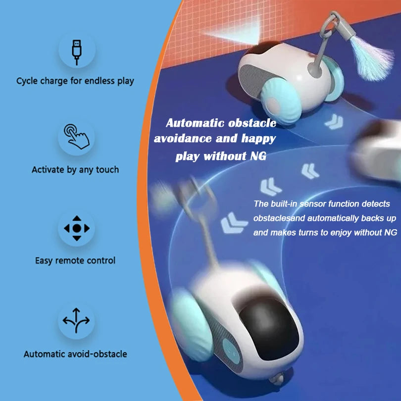 Interactive Pet Car Toy