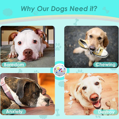 Bite-Resistant Dog Chew Ball Toy