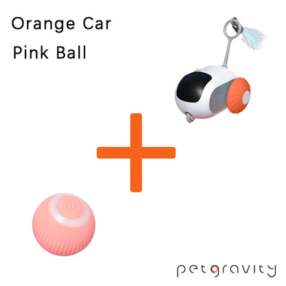 Interactive Pet Car Toy
