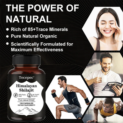 Himalayan Shilajit Capsules