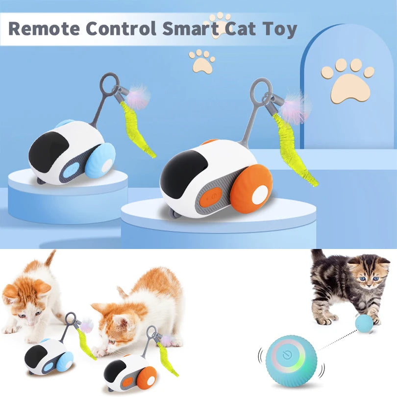 Interactive Pet Car Toy