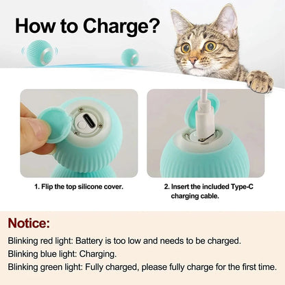 Interactive Pet Car Toy