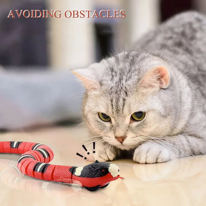 Interactive Pet Car Toy
