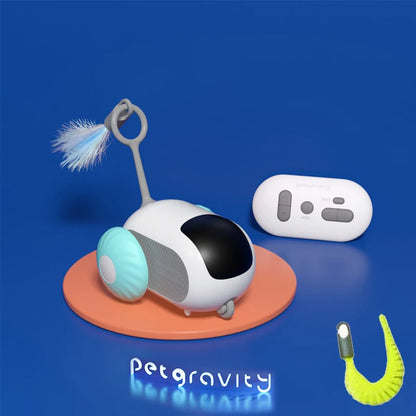 Interactive Pet Car Toy