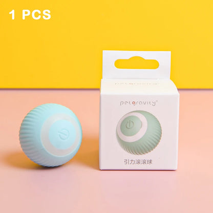 Interactive Pet Car Toy