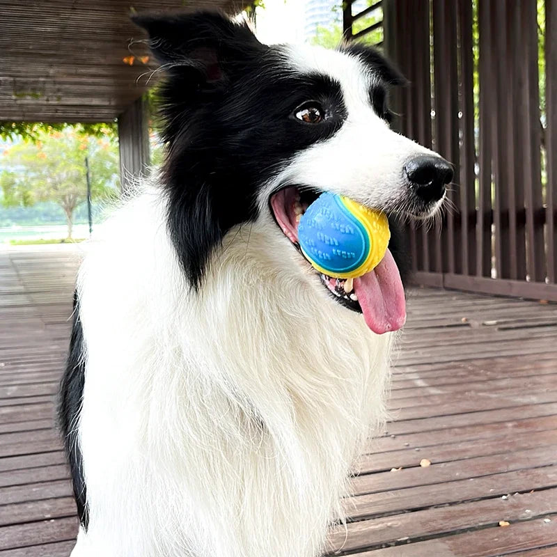 Squeaky TPR Dog Ball Toy