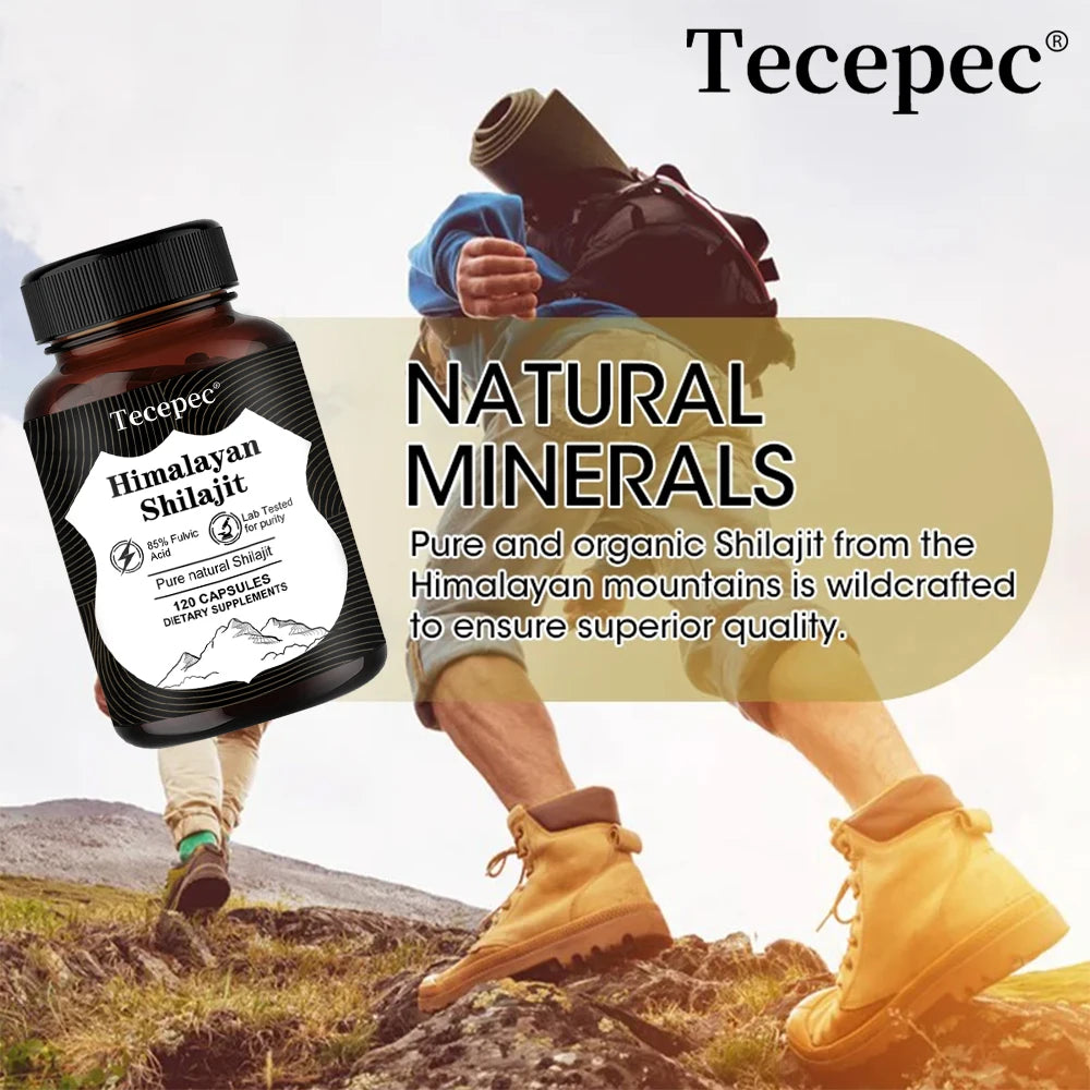 Himalayan Shilajit Capsules
