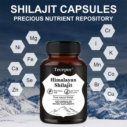 Himalayan Shilajit Capsules