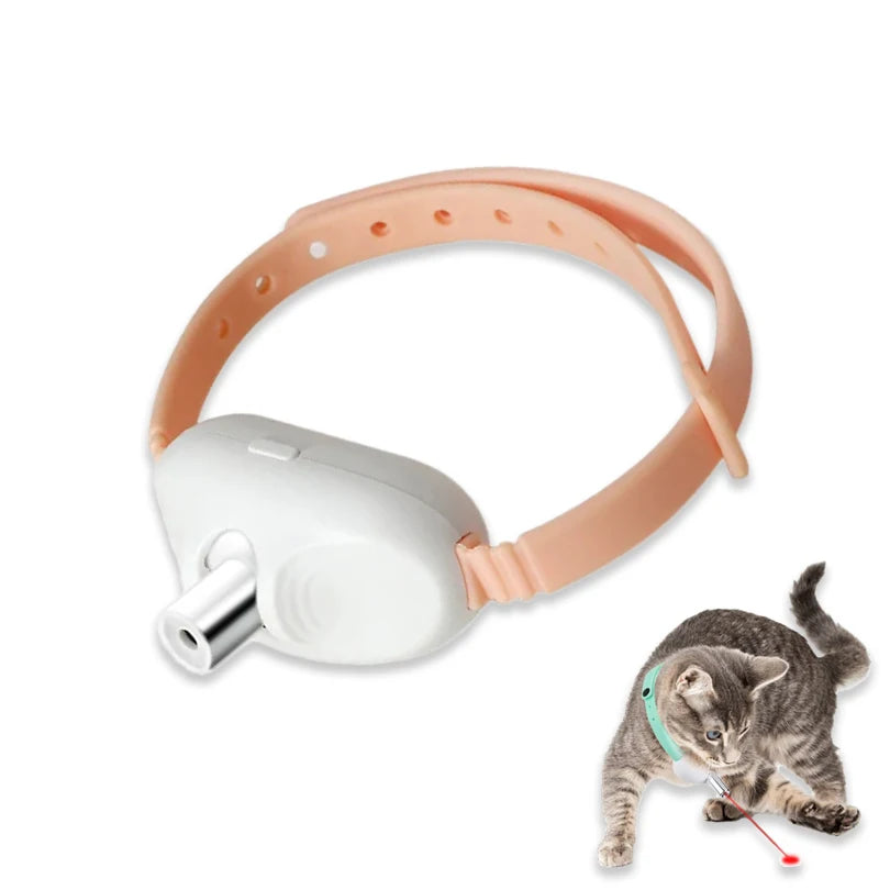 Interactive Pet Car Toy