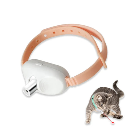 Interactive Pet Car Toy
