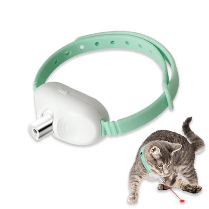 Interactive Pet Car Toy