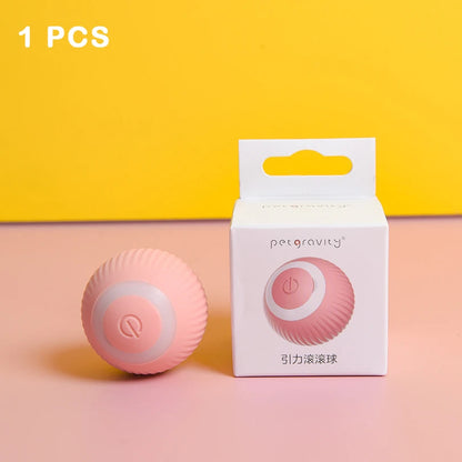 Interactive Pet Car Toy